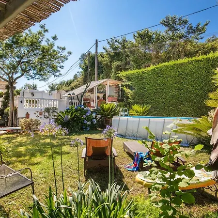 Luisella Villa *