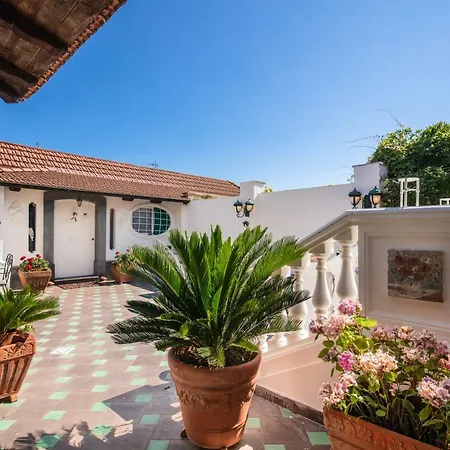 Luisella Villa *